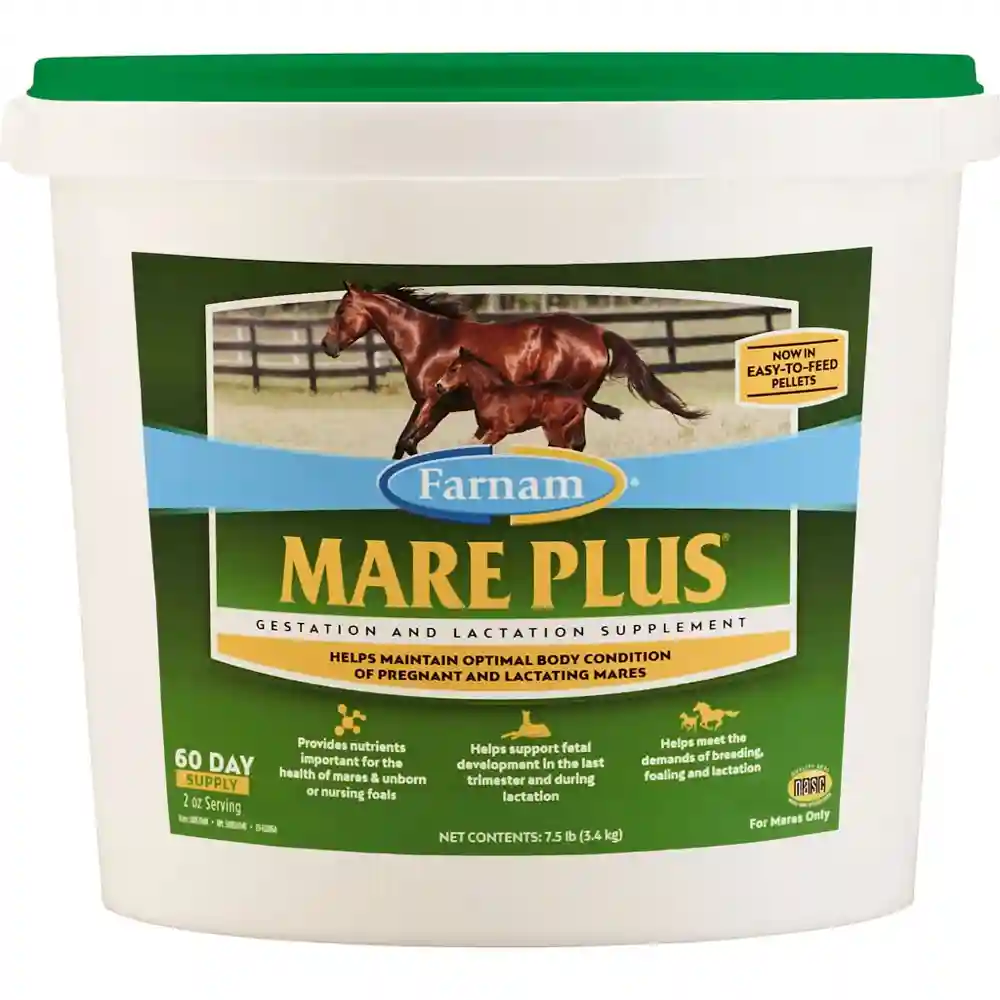 Mare Plus Gestation And Lactation Supplement