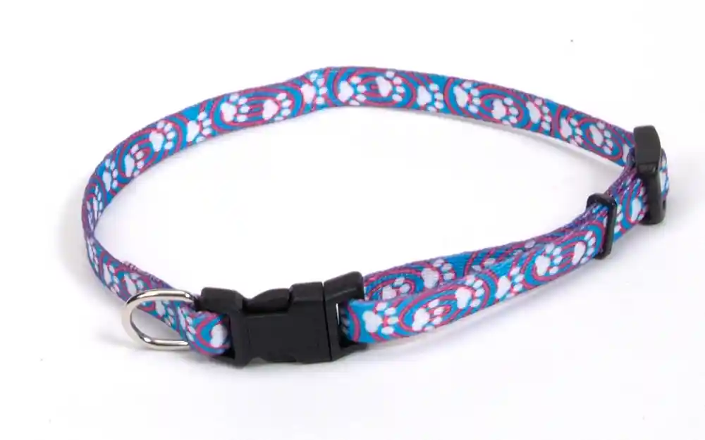 5/16" Adj Collar 06221lbp08