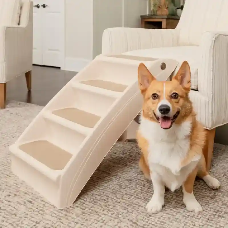 Folding Pet Steps Kraft Box