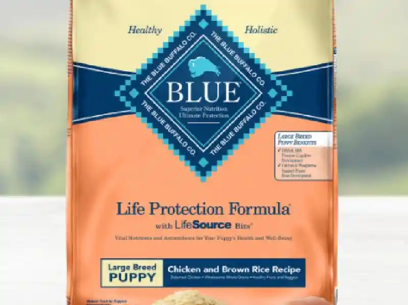 Blue Puppy Chk Br Lg Br 30