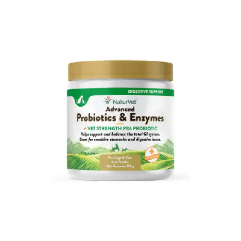 Adv Probiotic/Enzymes Pwd 4 Gm