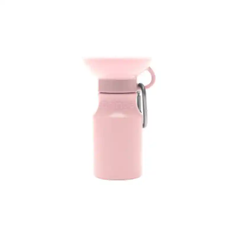 Mini Travel Bottle Ctn Cndy
