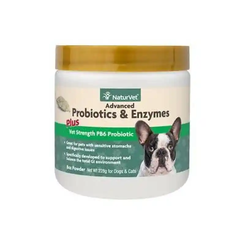 ADVANCED PROBIOTIC/ENZYMES PWDR 8oz