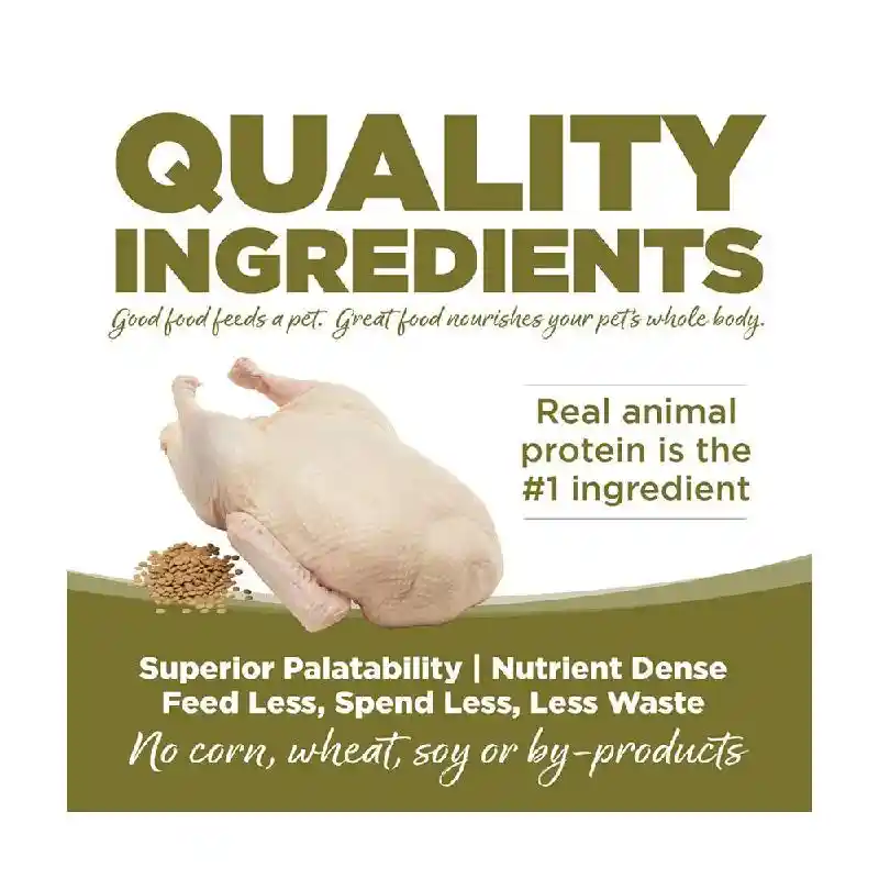 Grain Free Duck & Green Lentils Entrée, 5lb