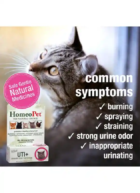 HOMEOPET FELINE UTI PLUS 15mL