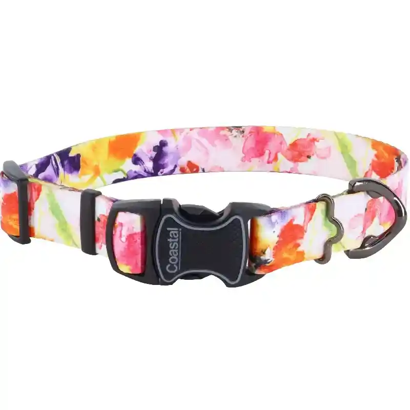 Inspire Adj Fashion Collar SHB 20"