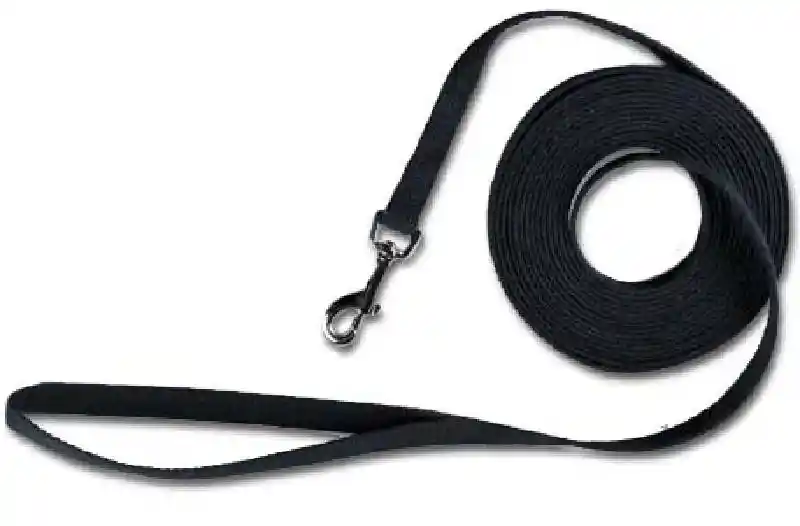 Web Cotton Train Lead 15ft Bk
