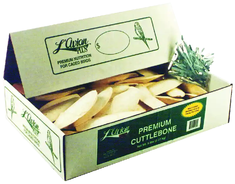 Cuttlebone Single