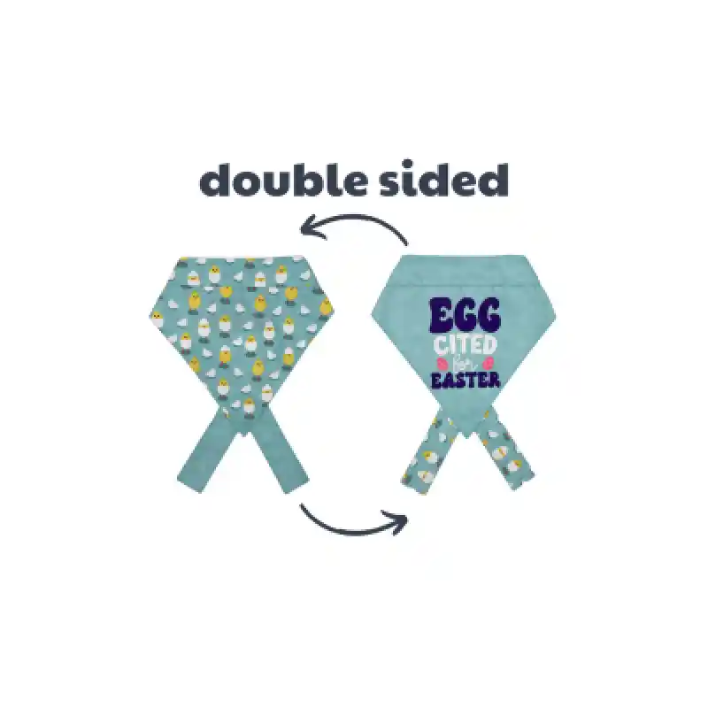 H&K Bandana Chicks/Eggs Med