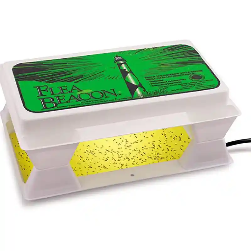 Flea Beacon