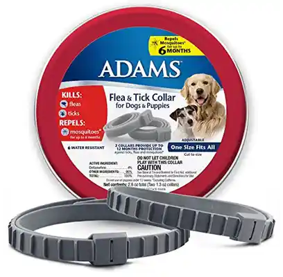 Adams Plus F/T Collar Sm Dogs 15In