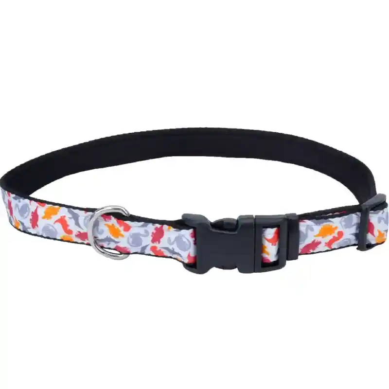 1" Collar Ad Dino 20"