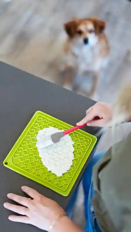 Messy Mutt Silicone Licking Mat