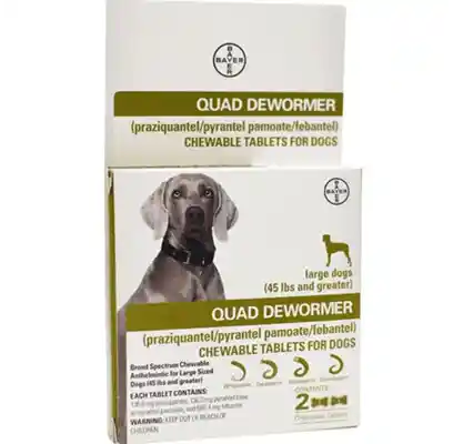 Quad Dewormer Large Dog 2ct