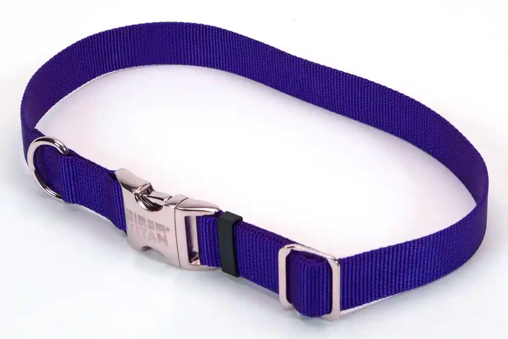 3/4" Metal Bkl Collar Blue