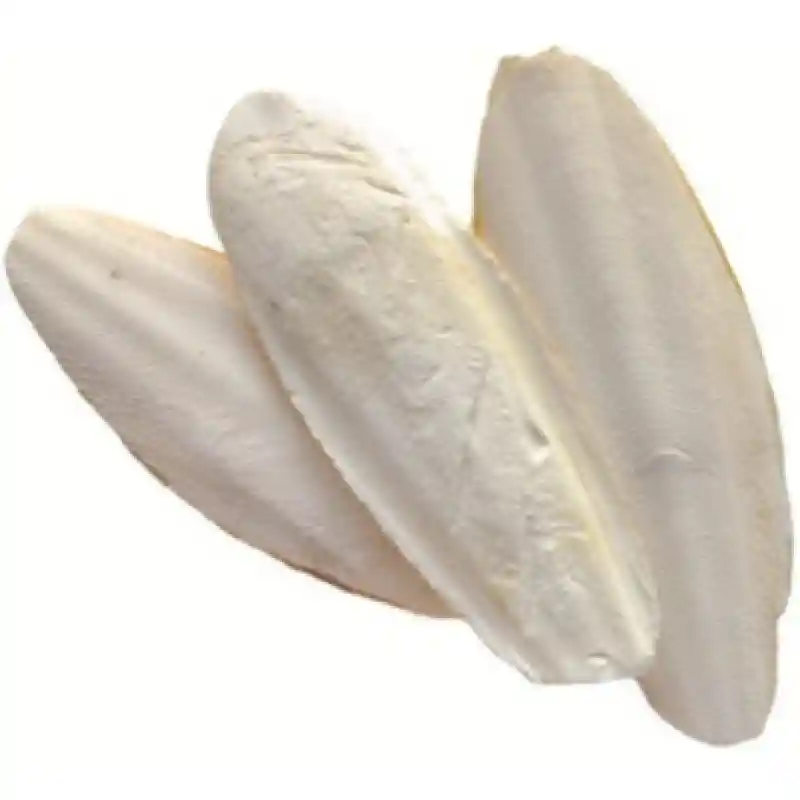 Living World Cuttlebone Small 4-6" by Rolf C. Hagen, Inc