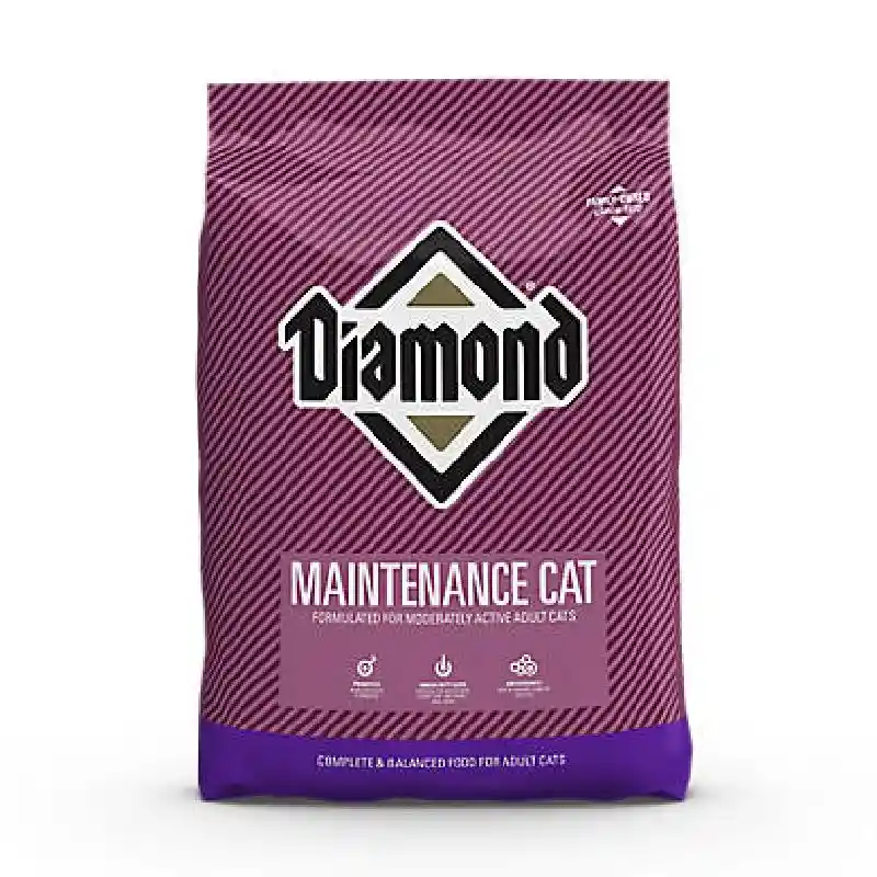 Diamond Maintenance Cat, 20lb