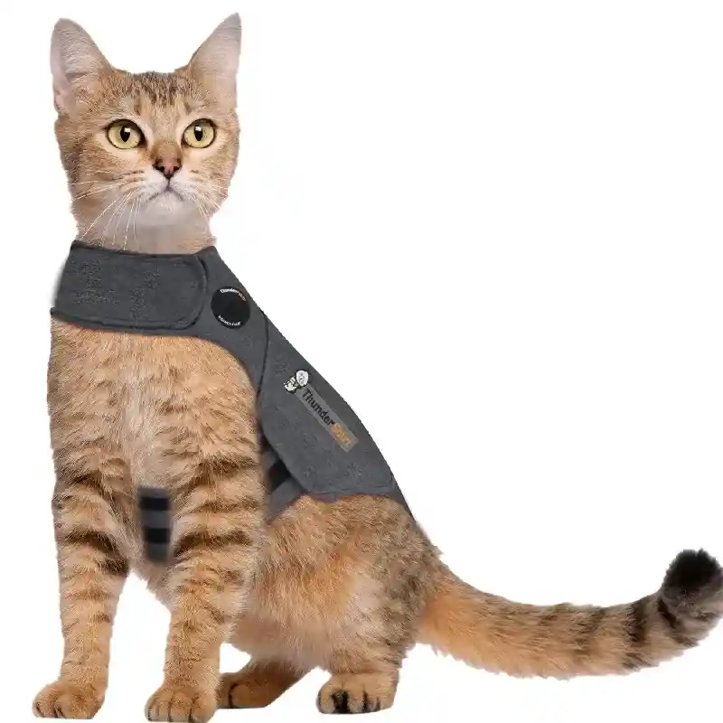 Thundershirt For Cats Large