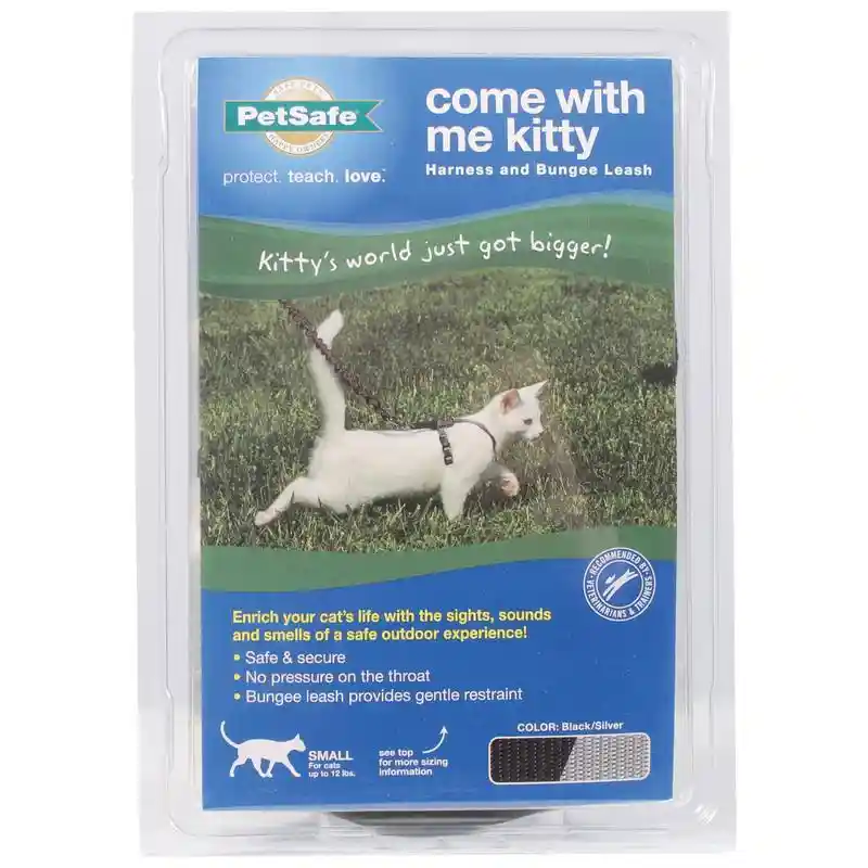 Come W/ Me Kitty Small Black