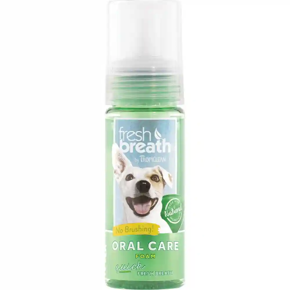 Fresh Breath Oral Care Foam, 4.5oz