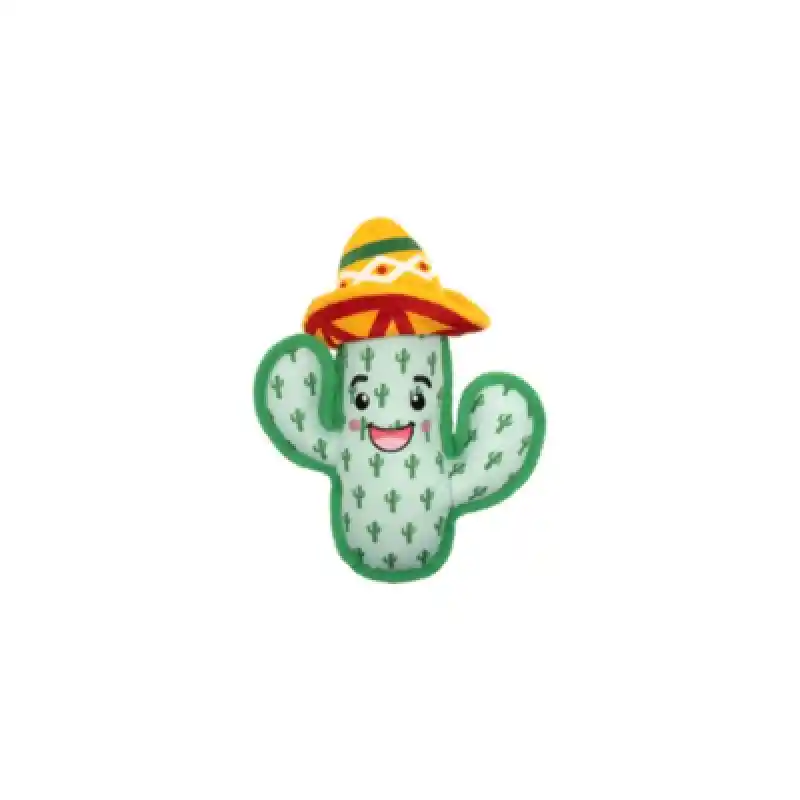 Worthy D Cactus Lg
