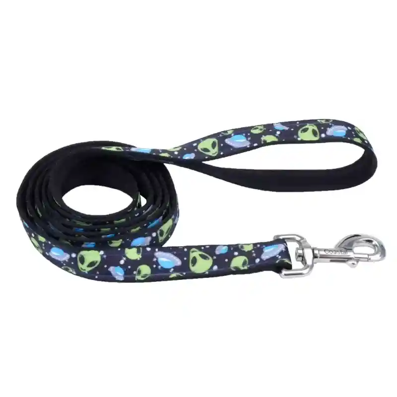 1" X 6' Leash Ad Aln