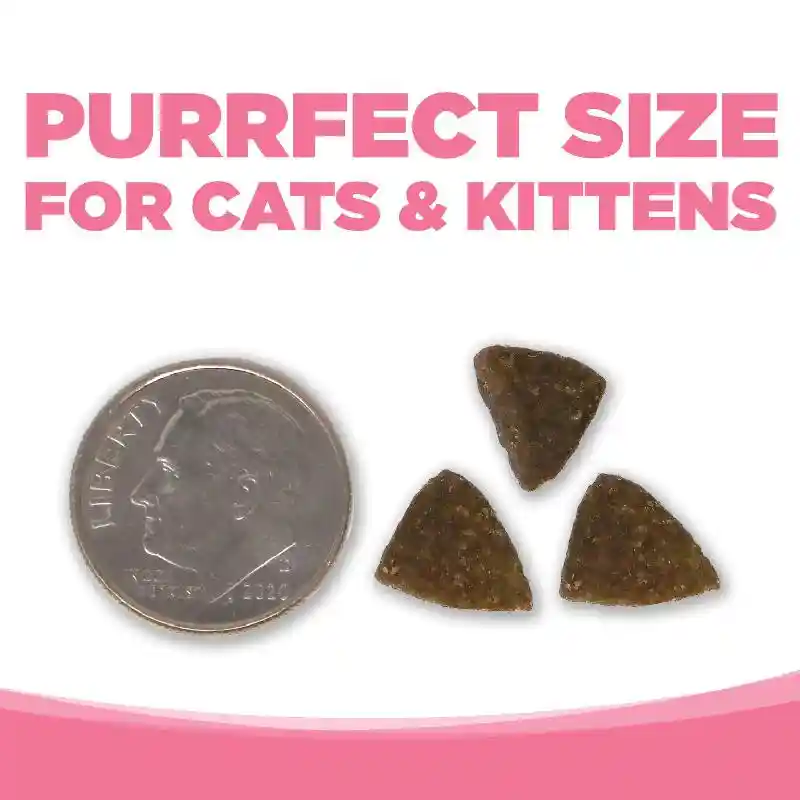 Purevita Cat Gf Salmon 4#