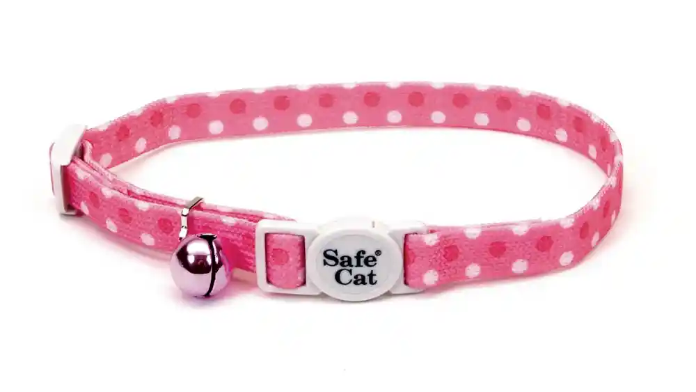 Safety Cat Collar 3/8in X 12in