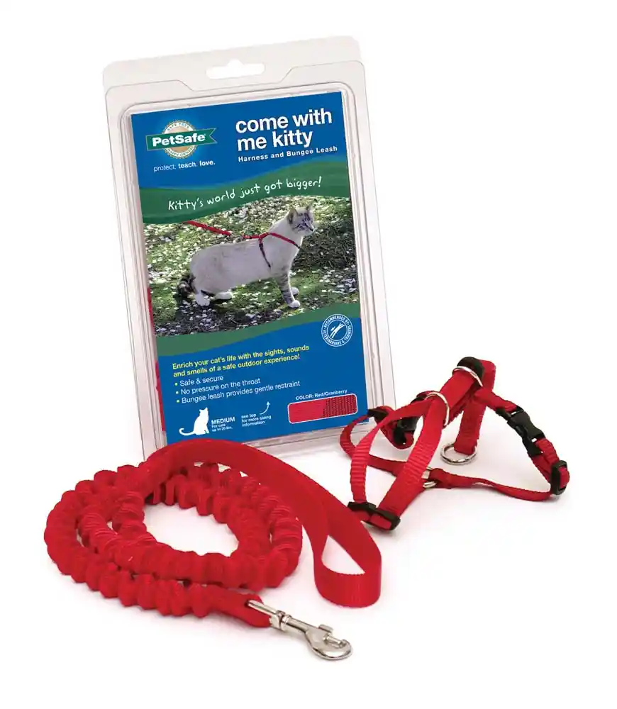 Come W/ Me Kitty Lg Red