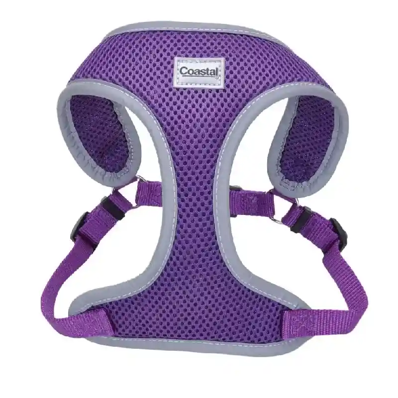 Mesh Refl Harness Pur Lrg