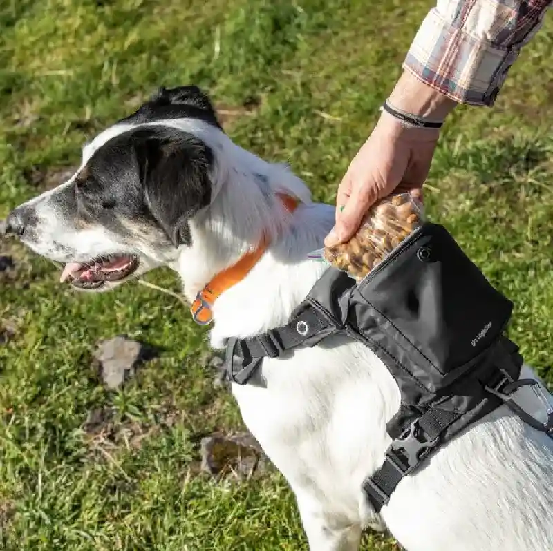 Stash N Dash Harness Black Lg