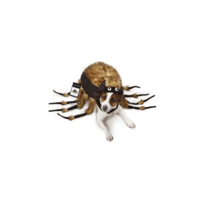 ZZ Fuzzy Tarantula Costume S