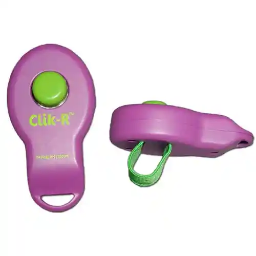 Clik-R Training Tool Clicker