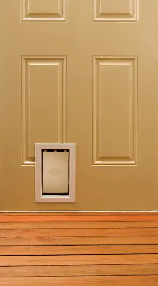 Freedom Door Sm