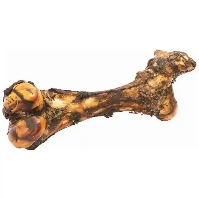Mammoth Bone (6ct)