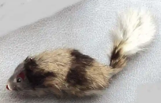 Spot Cat A-door-able Fur Mouse Toy