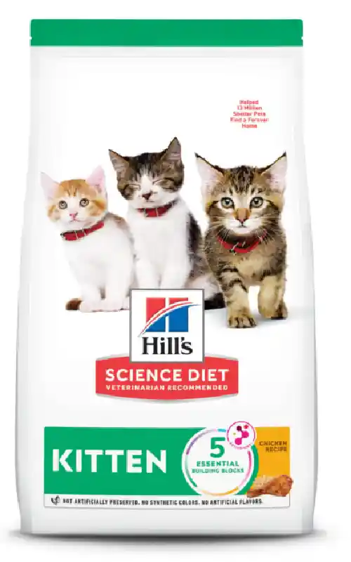 SD Fe Kitten 15.5 9392