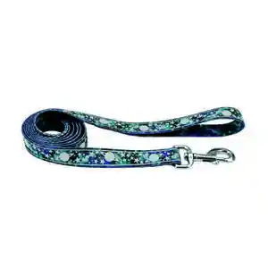 1" Reflect Leash 6' Gxy