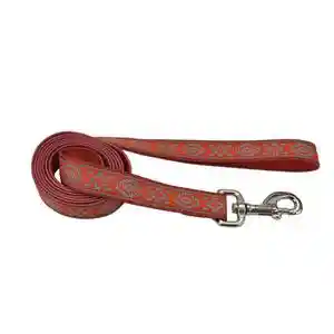 1" Reflect Leash 6' Oaz