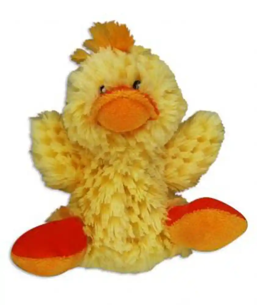 Dr. Noyz Duck - Small
