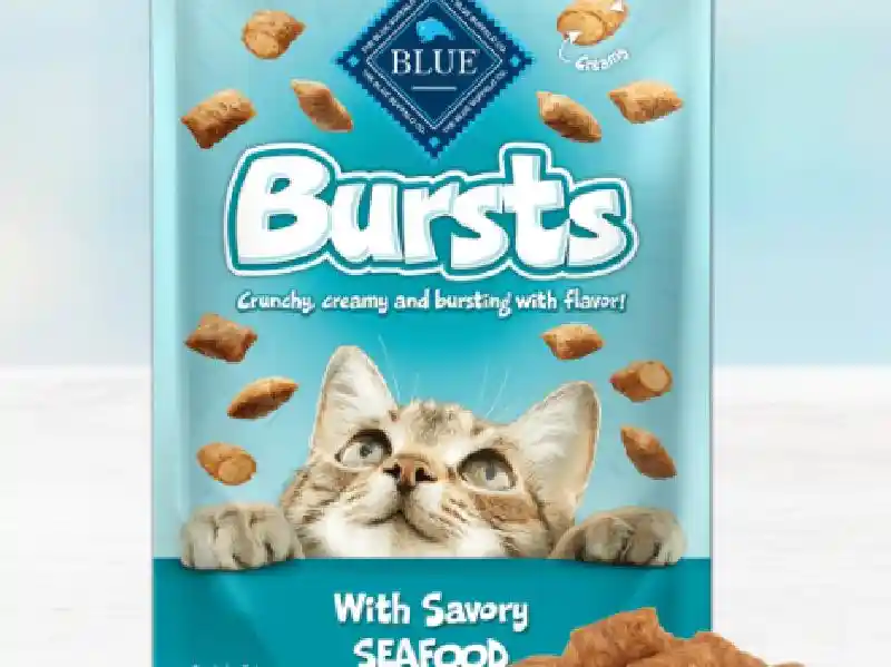Bl Bursts Filled Seafd Cat 2z