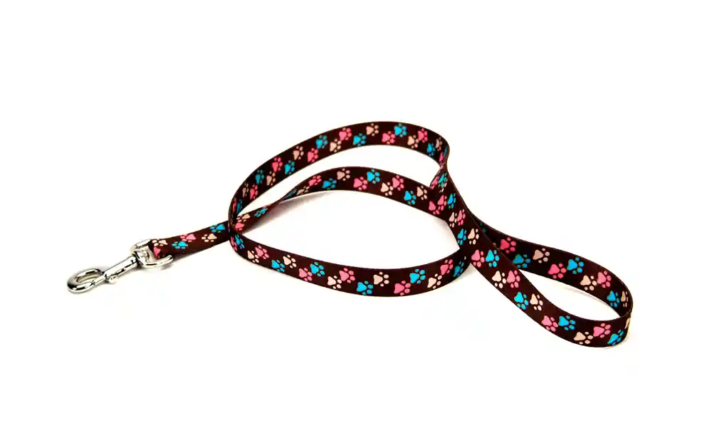 5/8" Attire Leash 6' Spb