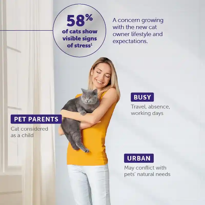 Ceva Optimum Cat Kit 48ml