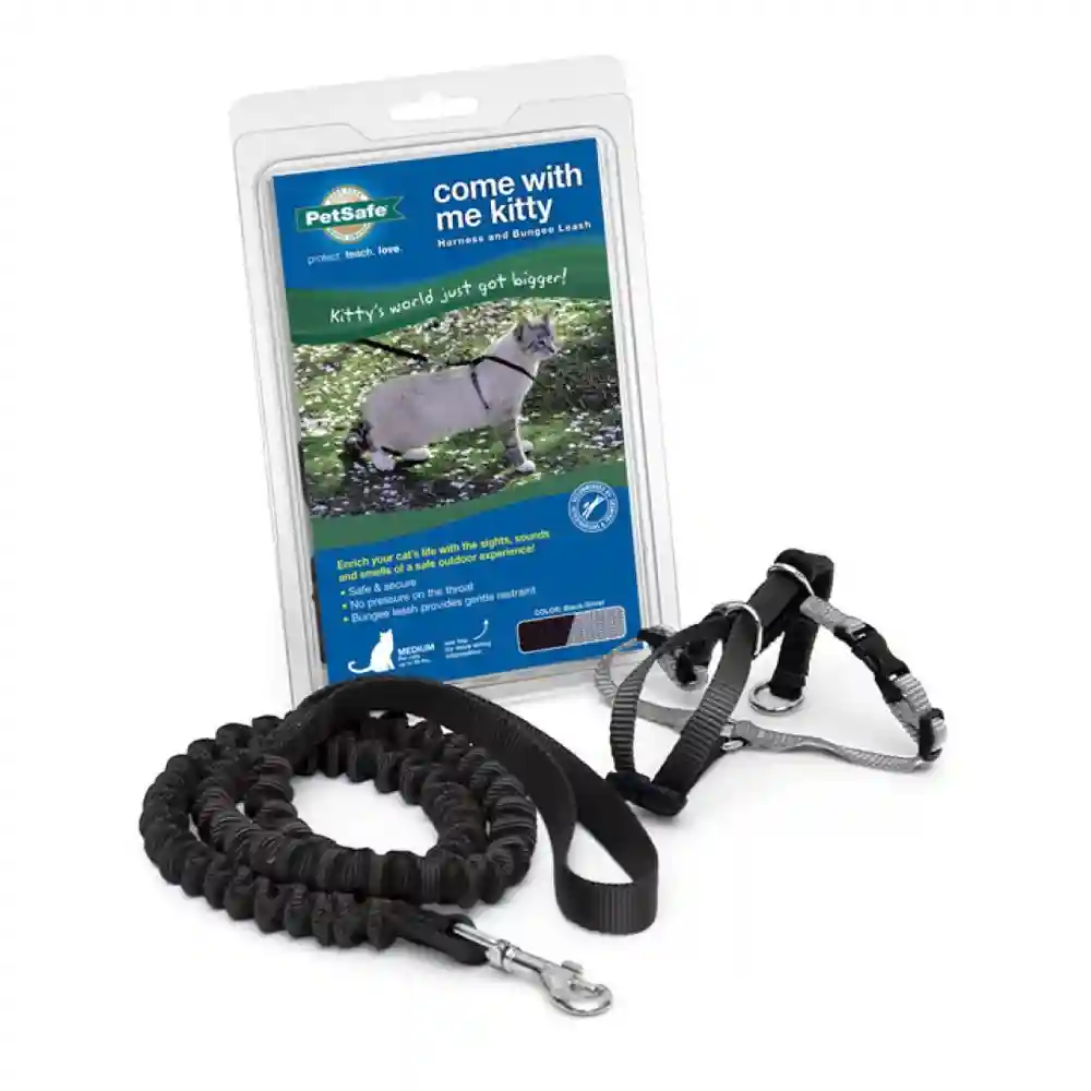 Come W/ Me Kitty Small Black