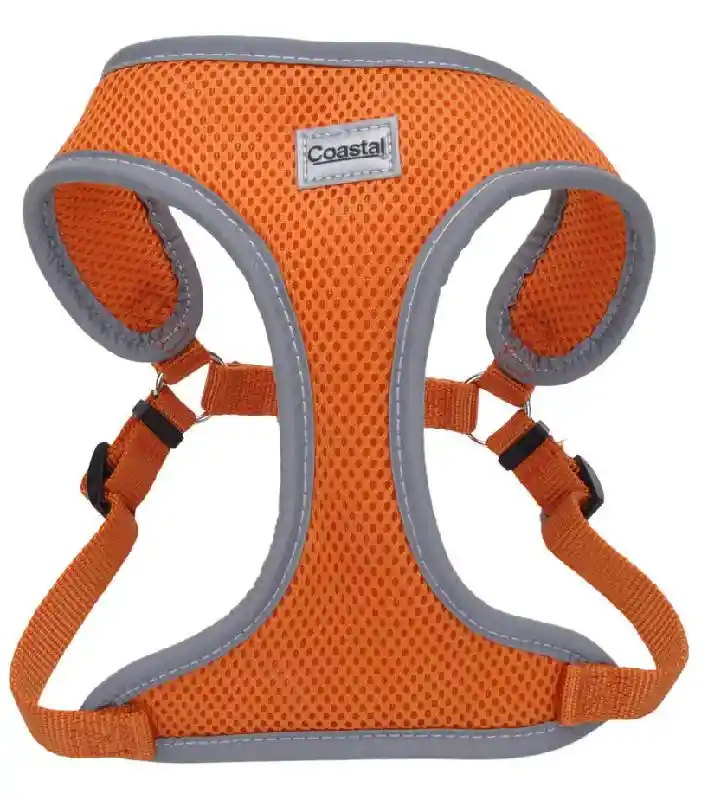 Mesh Refl Harness Sso Xsm