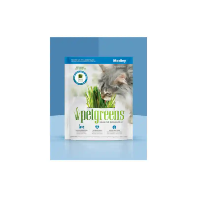 Medley Organic Grass Self Grow 4 Oz