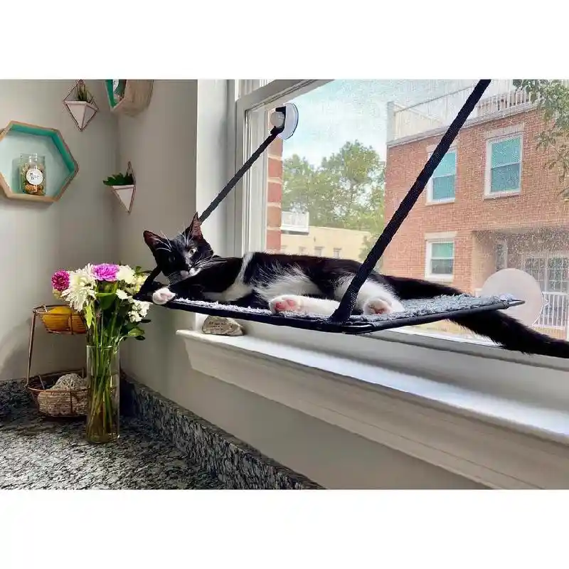 Kitty Sill Ez Window Mount