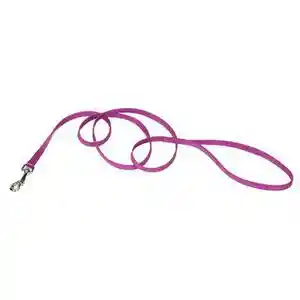 Lead 3/8in Nylon Web 6ft Ord