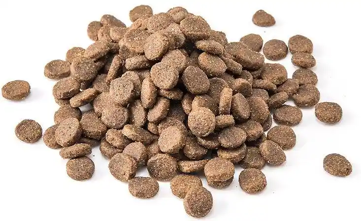 Southwest Canyon Dog, 28lb