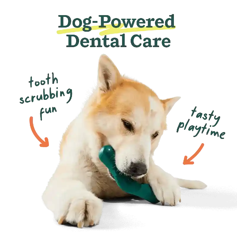 Woof Dog Toy Bite N Brush Small